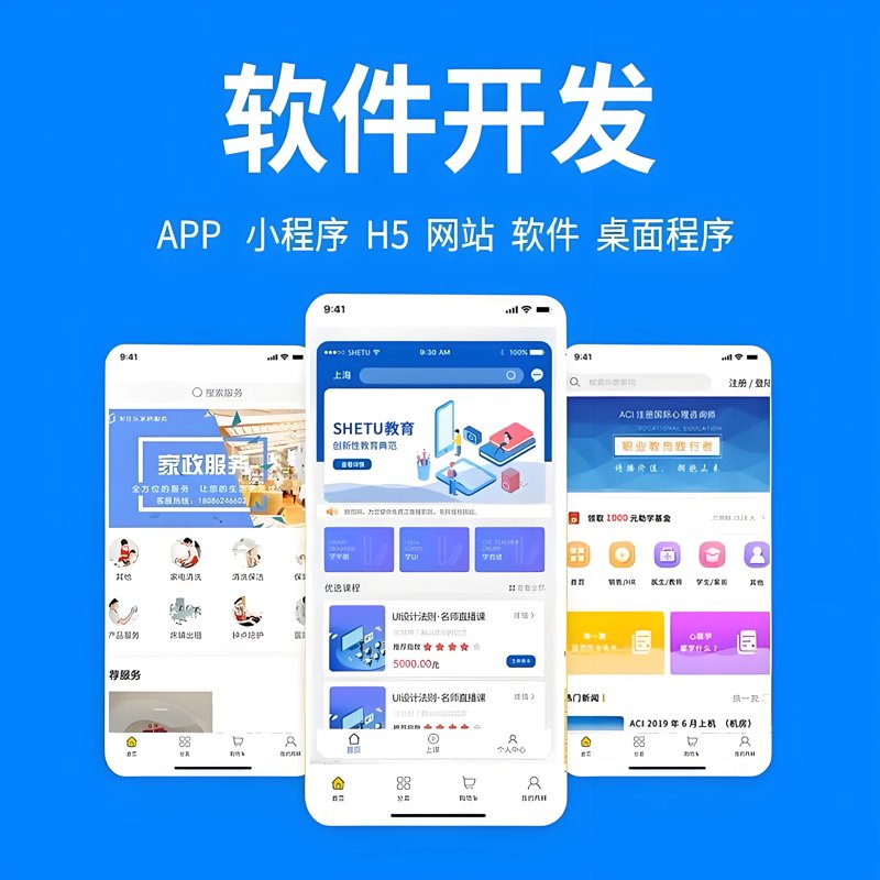 软件定制开发，为您的业务插上数字腾飞的翅膀