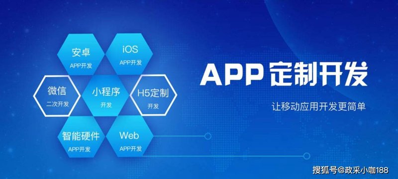 软件定制开发: 行业新风向标